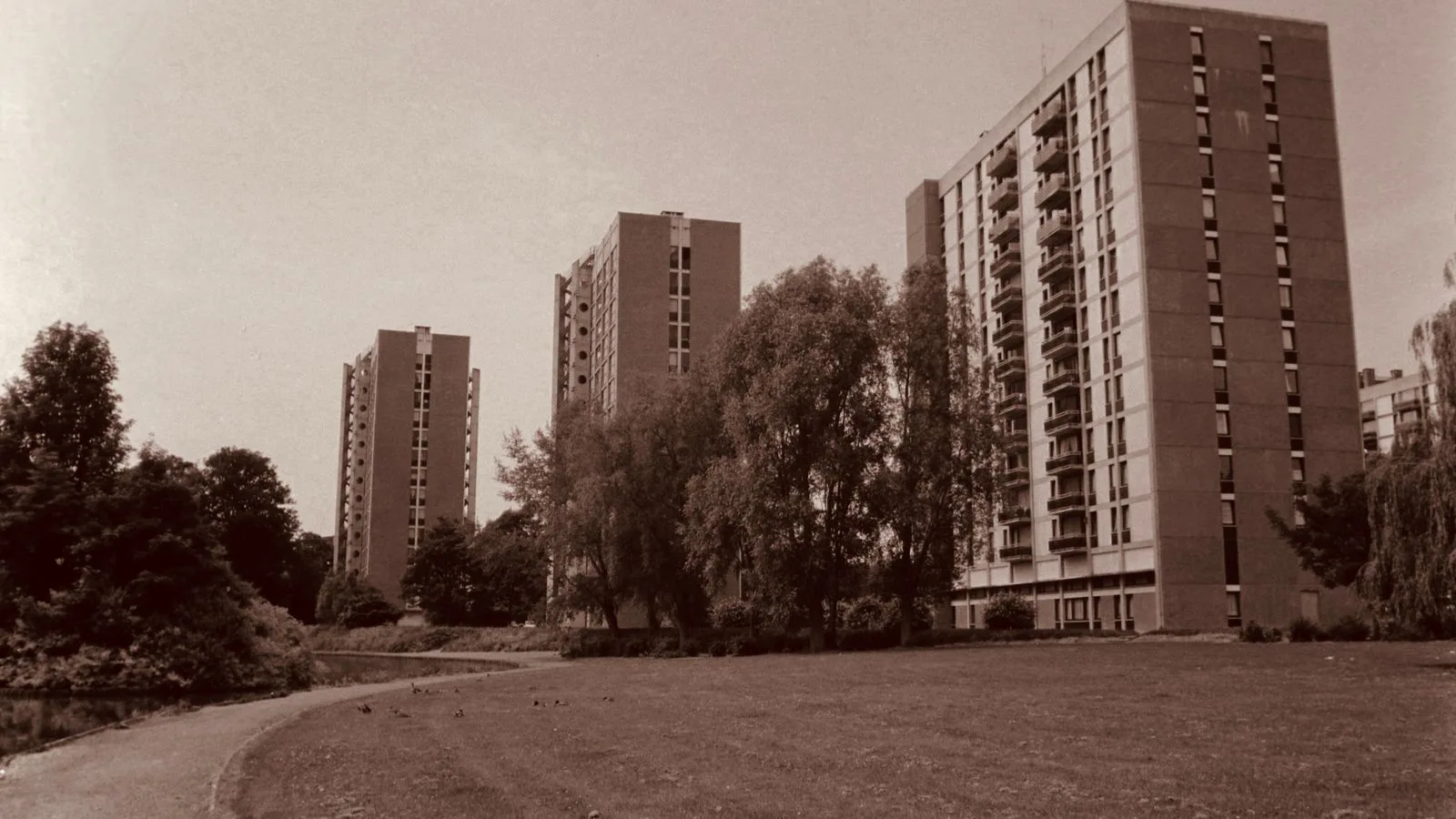 Immeubles résidentiels entourés d'arbres à Mons, en Wallonie.