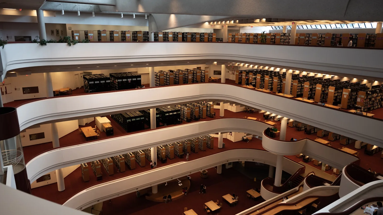Rayonnages de livres dans une bibliothèque, vus depuis une allée.